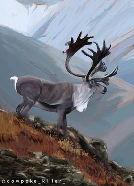 Caribou.